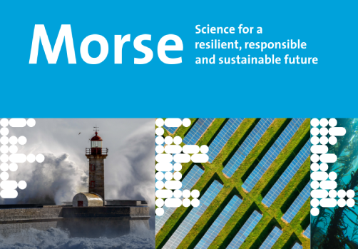 DIAMOND at the fourth MORSE Conference 2024